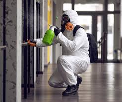 Professional Mold Removal in Fairfield, TX